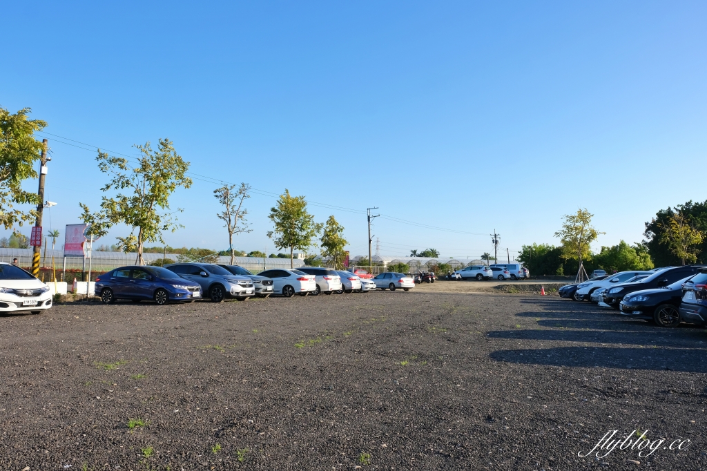 彰化田尾｜董家花園，充滿四季繽紛色彩的花田，田尾親子野餐郊遊好去處 @飛天璇的口袋