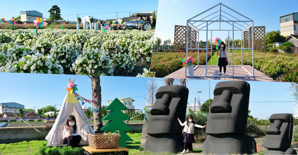 彰化田尾｜董家花園，充滿四季繽紛色彩的花田，田尾親子野餐郊遊好去處 @飛天璇的口袋