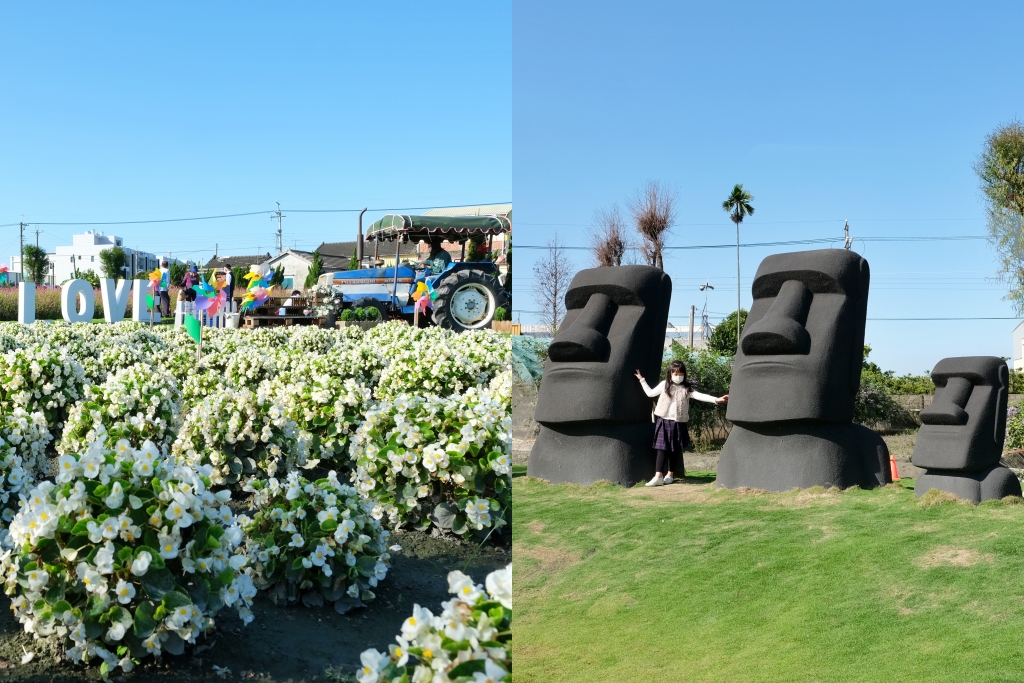 彰化田尾｜董家花園，充滿四季繽紛色彩的花田，田尾親子野餐郊遊好去處 @飛天璇的口袋