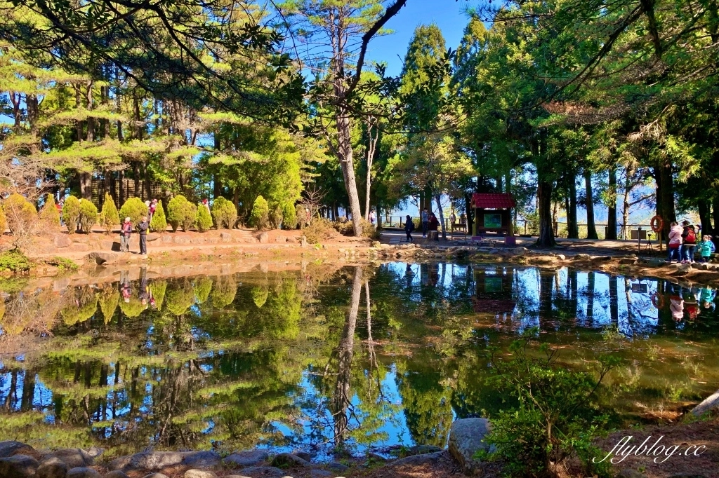 台中和平｜福壽山農場天池．海拔2614公尺的高山湖泊，雲霧縹緲宛如仙境 @飛天璇的口袋