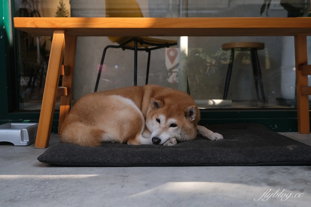 台中西區｜Terry Cafe 仁將咖啡．有各種口味的肉桂捲，台中美術館週邊咖啡館 @飛天璇的口袋