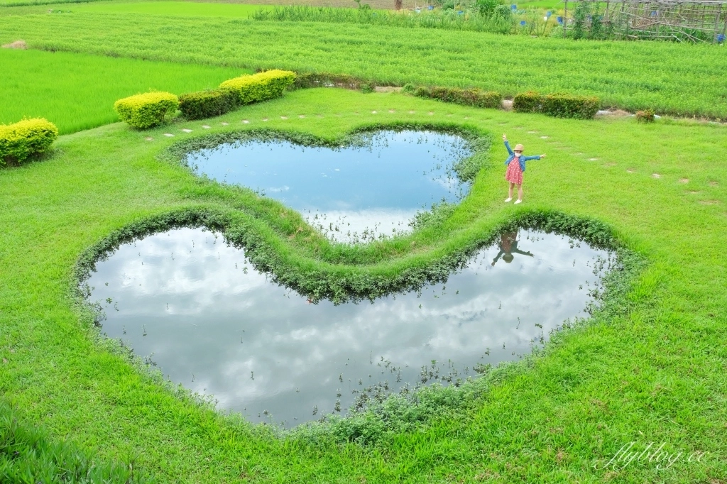 雙心池塘|小而巧小而美的大村雙心池塘,感受樸實靜謐的農村風情 @飛天璇的口袋 雙心池塘|小而巧小而美的大村雙心池塘,感受樸實靜謐的農村風情 @飛天璇的口袋