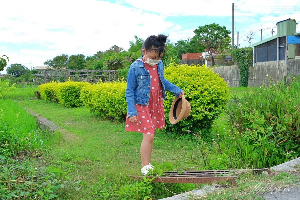雙心池塘｜小而巧小而美的大村雙心池塘，感受樸實靜謐的農村風情 @飛天璇的口袋