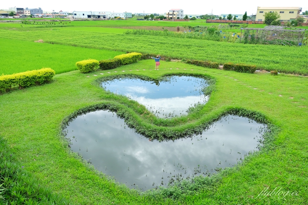 雙心池塘｜小而巧小而美的大村雙心池塘，感受樸實靜謐的農村風情 @飛天璇的口袋