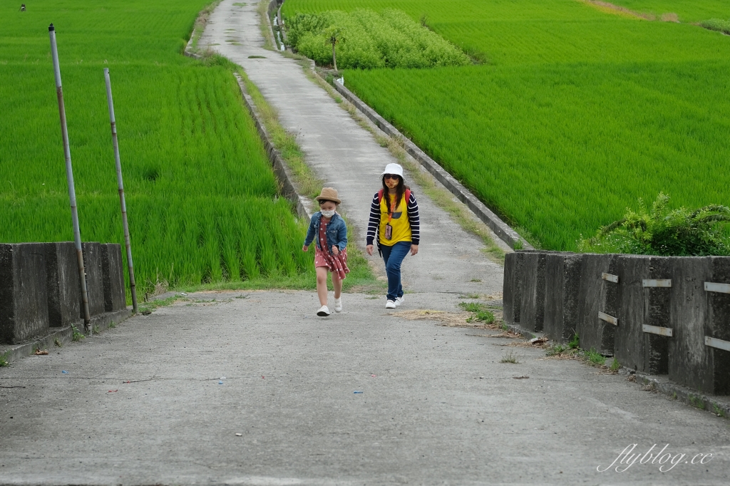 雙心池塘|小而巧小而美的大村雙心池塘,感受樸實靜謐的農村風情 @飛天璇的口袋 雙心池塘|小而巧小而美的大村雙心池塘,感受樸實靜謐的農村風情 @飛天璇的口袋