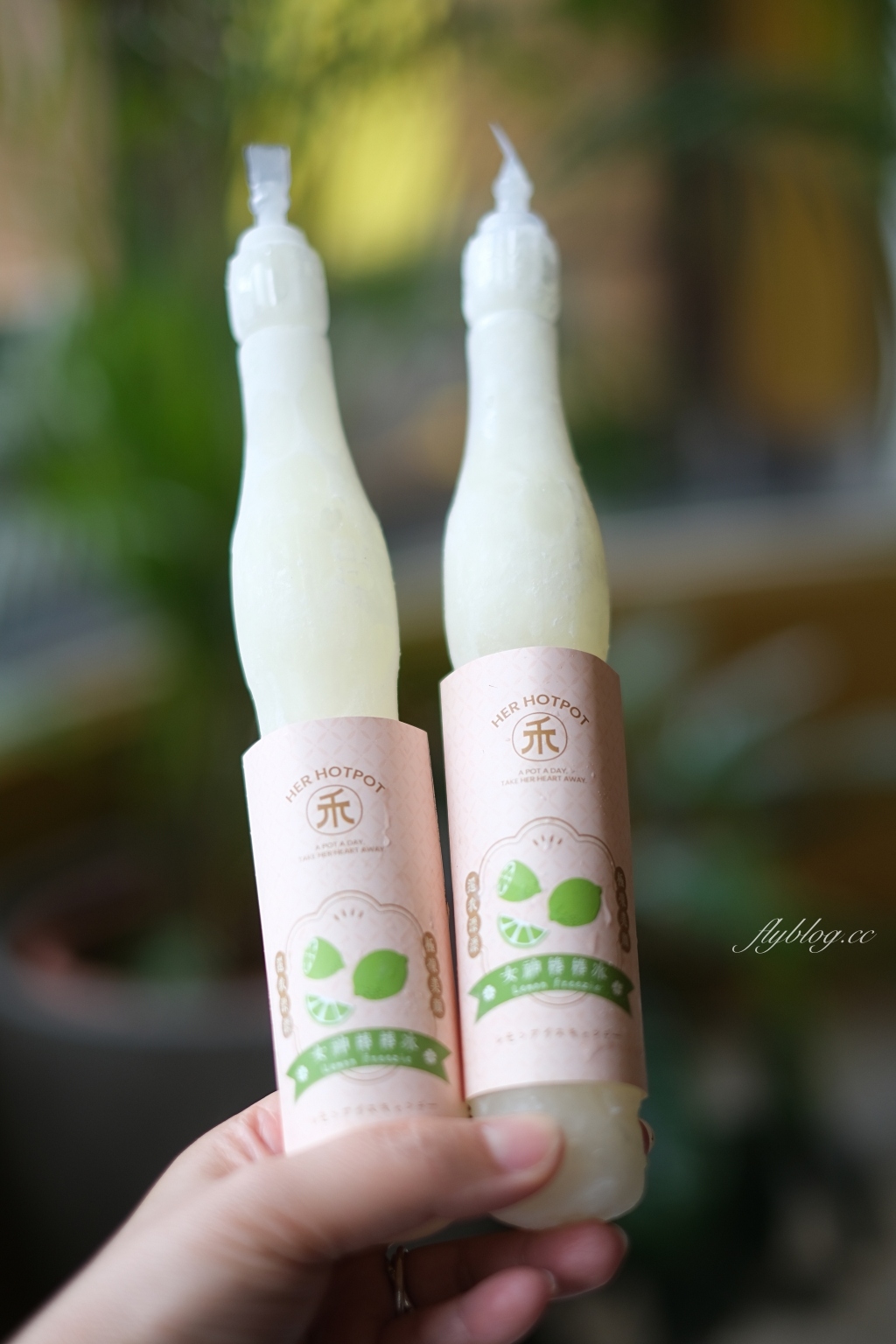 禾HER 小火鍋|188元起!Hun混最新平價小火鍋品牌,一中街超網美禾小火鍋店 @飛天璇的口袋 禾HER 小火鍋|188元起!Hun混最新平價小火鍋品牌,一中街超網美禾小火鍋店 @飛天璇的口袋