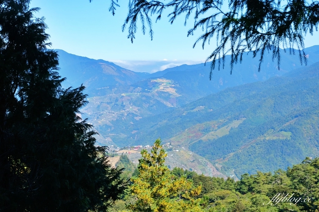 台中和平｜福壽山農場天池．海拔2614公尺的高山湖泊，雲霧縹緲宛如仙境 @飛天璇的口袋