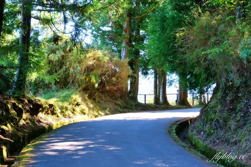 台中和平｜福壽山農場天池．海拔2614公尺的高山湖泊，雲霧縹緲宛如仙境 @飛天璇的口袋