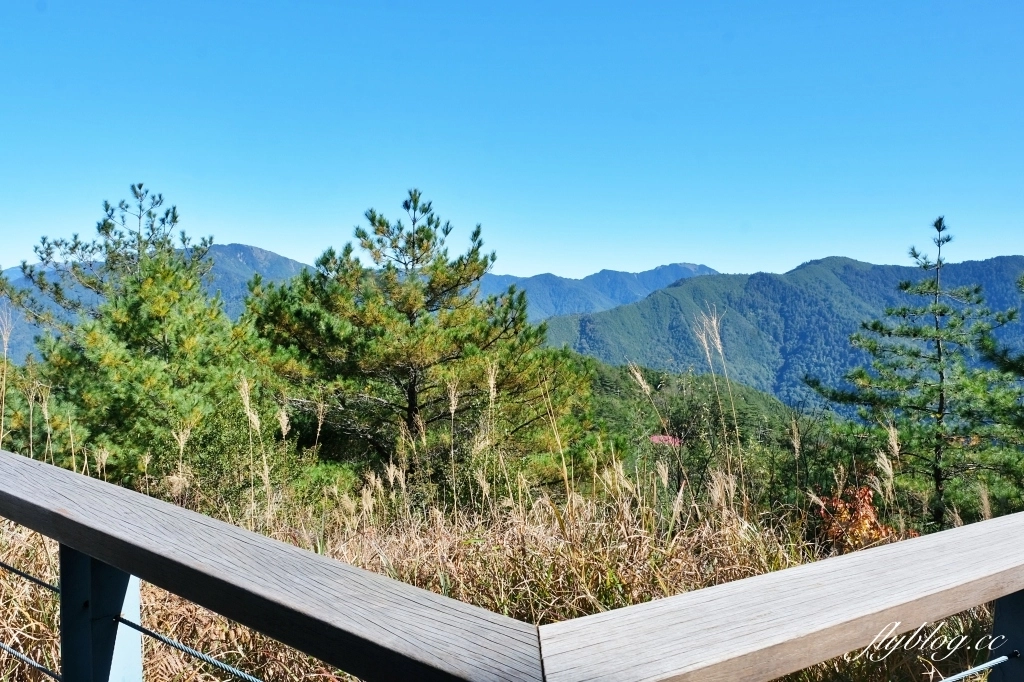 台中和平｜福壽山農場天池．海拔2614公尺的高山湖泊，雲霧縹緲宛如仙境 @飛天璇的口袋