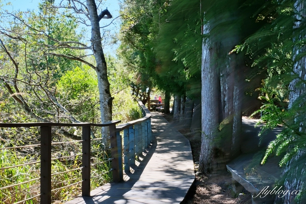 台中和平｜福壽山農場天池．海拔2614公尺的高山湖泊，雲霧縹緲宛如仙境 @飛天璇的口袋