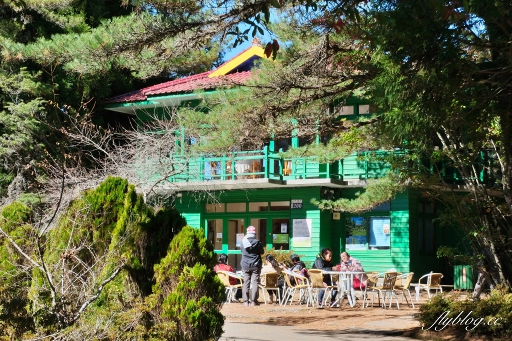 台中和平｜福壽山農場天池．海拔2614公尺的高山湖泊，雲霧縹緲宛如仙境 @飛天璇的口袋