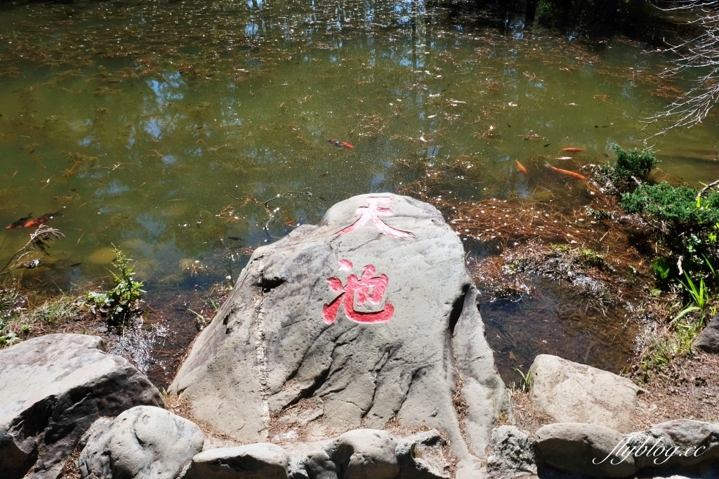 台中和平｜福壽山農場天池．海拔2614公尺的高山湖泊，雲霧縹緲宛如仙境 @飛天璇的口袋