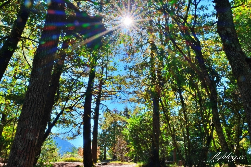 台中和平｜福壽山農場天池．海拔2614公尺的高山湖泊，雲霧縹緲宛如仙境 @飛天璇的口袋