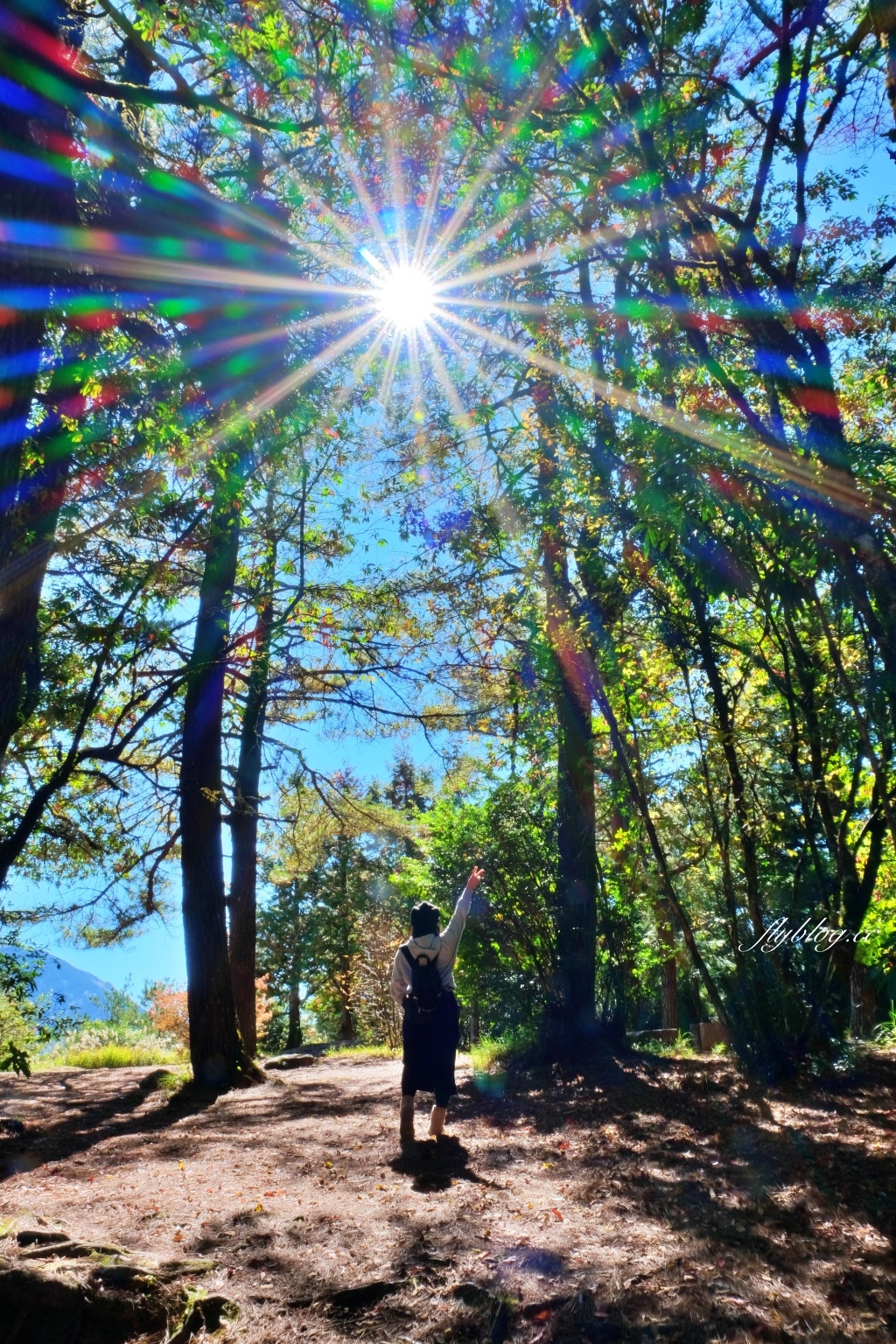 台中和平｜福壽山農場天池．海拔2614公尺的高山湖泊，雲霧縹緲宛如仙境 @飛天璇的口袋