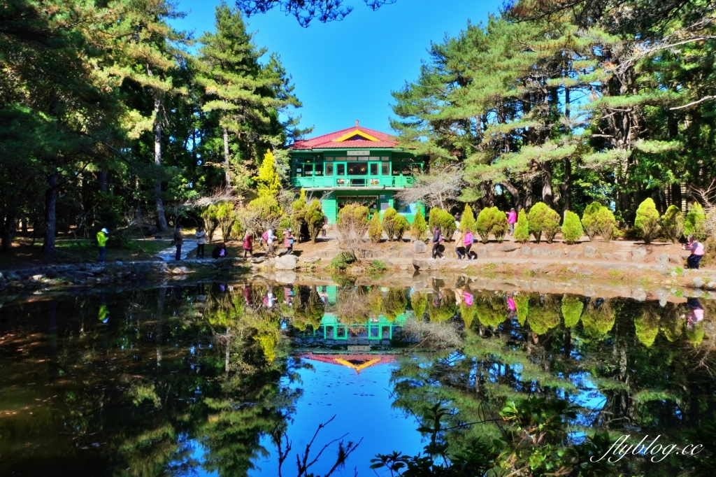 台中和平｜福壽山農場天池．海拔2614公尺的高山湖泊，雲霧縹緲宛如仙境 @飛天璇的口袋