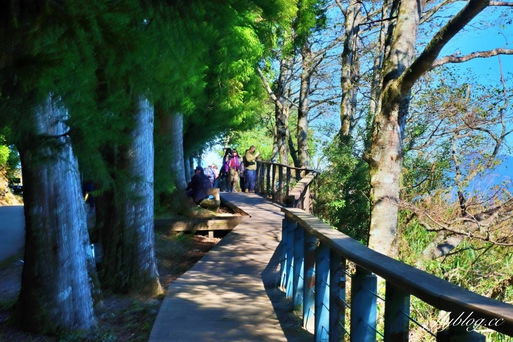 台中和平｜福壽山農場天池．海拔2614公尺的高山湖泊，雲霧縹緲宛如仙境 @飛天璇的口袋