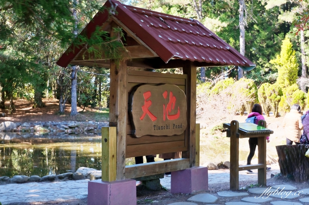 台中和平｜福壽山農場天池．海拔2614公尺的高山湖泊，雲霧縹緲宛如仙境 @飛天璇的口袋