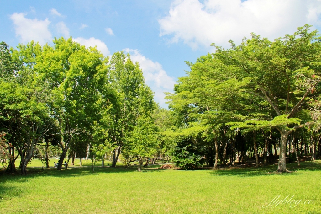 苗栗三義｜三義鯉魚潭水庫．遠眺寬闊療癒的湖光山色，全台唯一個鋸齒狀堰溢洪道 @飛天璇的口袋