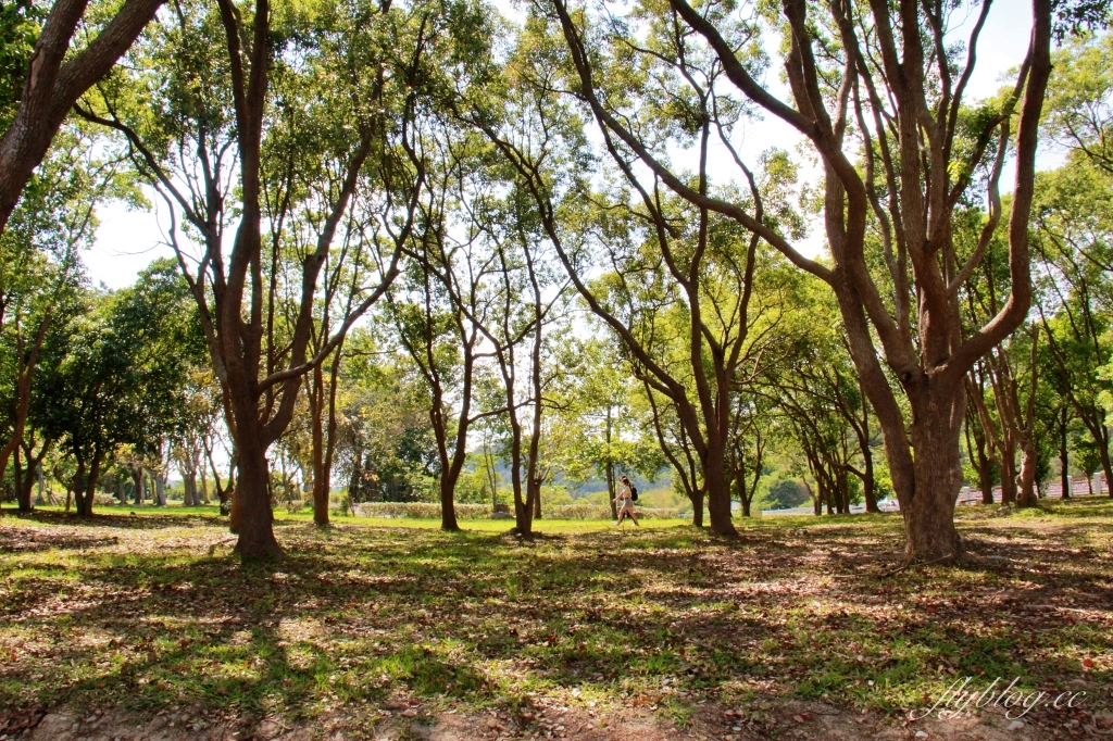 苗栗三義｜三義鯉魚潭水庫．遠眺寬闊療癒的湖光山色，全台唯一個鋸齒狀堰溢洪道 @飛天璇的口袋