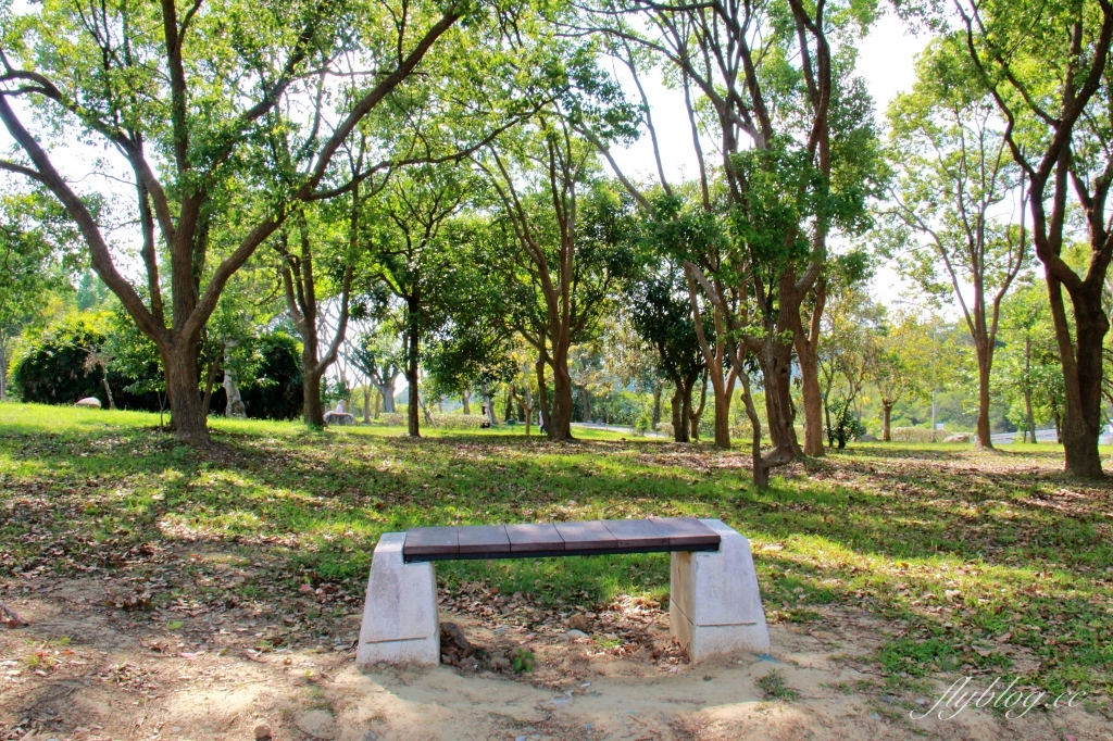 苗栗三義｜三義鯉魚潭水庫．遠眺寬闊療癒的湖光山色，全台唯一個鋸齒狀堰溢洪道 @飛天璇的口袋