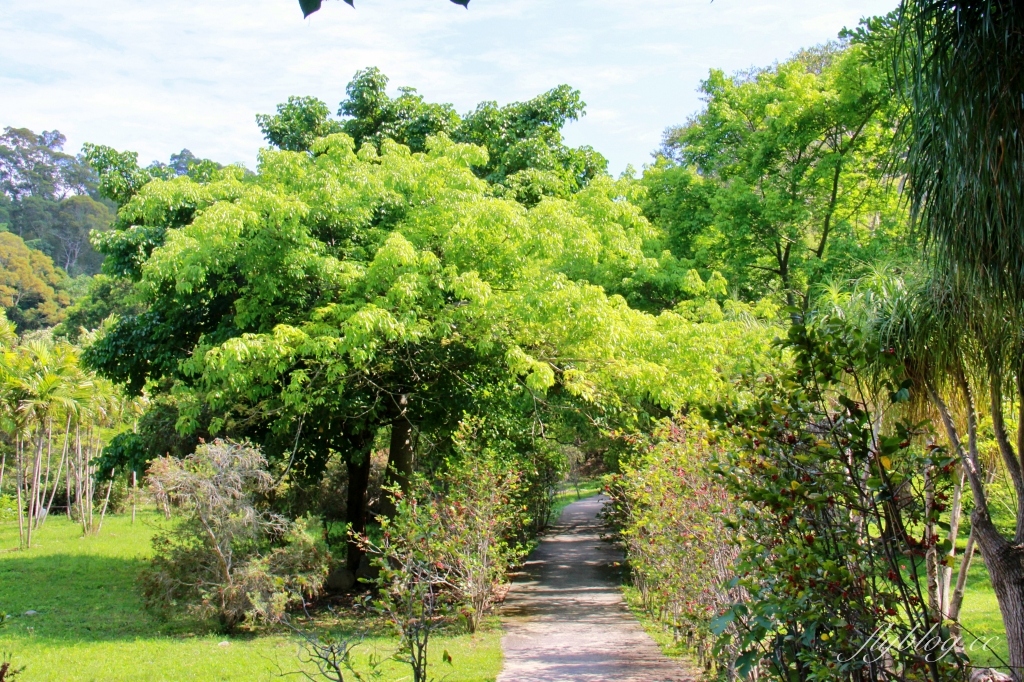 苗栗三義｜三義鯉魚潭水庫．遠眺寬闊療癒的湖光山色，全台唯一個鋸齒狀堰溢洪道 @飛天璇的口袋