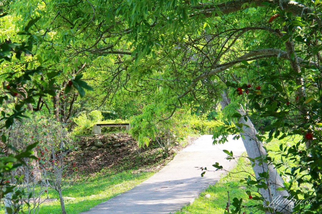 苗栗三義｜三義鯉魚潭水庫．遠眺寬闊療癒的湖光山色，全台唯一個鋸齒狀堰溢洪道 @飛天璇的口袋