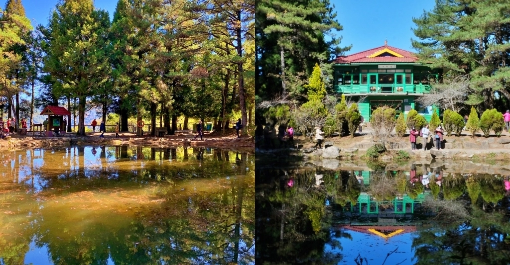 台中和平｜福壽山農場天池．海拔2614公尺的高山湖泊，雲霧縹緲宛如仙境 @飛天璇的口袋