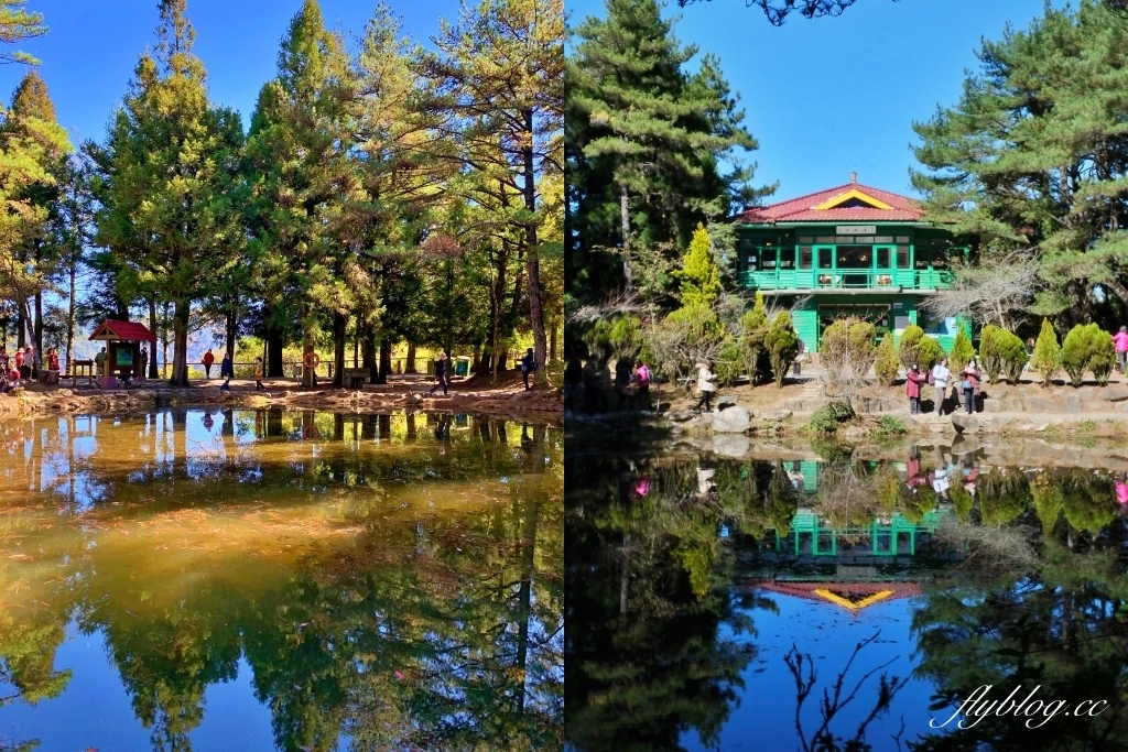 台中和平｜福壽山農場天池．海拔2614公尺的高山湖泊，雲霧縹緲宛如仙境 @飛天璇的口袋