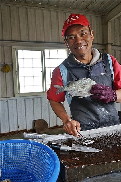 新竹香山｜明發定置漁場，現補新鮮漁獲拍賣現場，完全感受搶魚的樂趣 @飛天璇的口袋