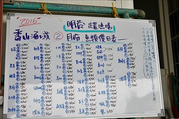 新竹香山｜明發定置漁場，現補新鮮漁獲拍賣現場，完全感受搶魚的樂趣 @飛天璇的口袋