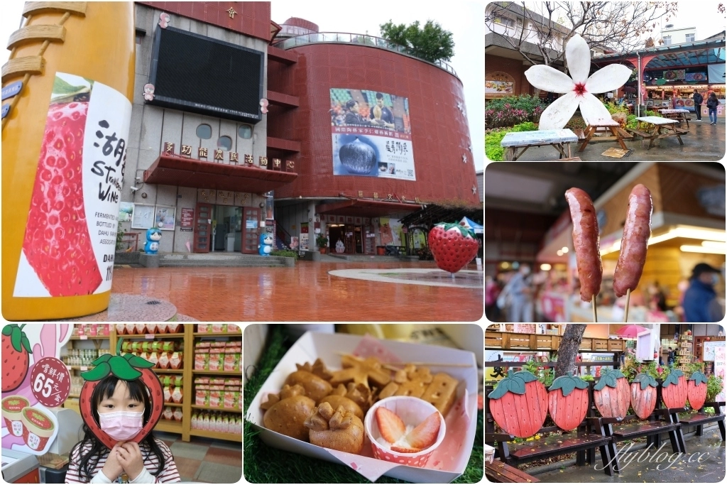 苗栗大湖|大湖酒莊.大湖草莓文化館,亞洲第一個草莓酒製酒產地 @飛天璇的口袋 苗栗大湖|大湖酒莊.大湖草莓文化館,亞洲第一個草莓酒製酒產地 @飛天璇的口袋