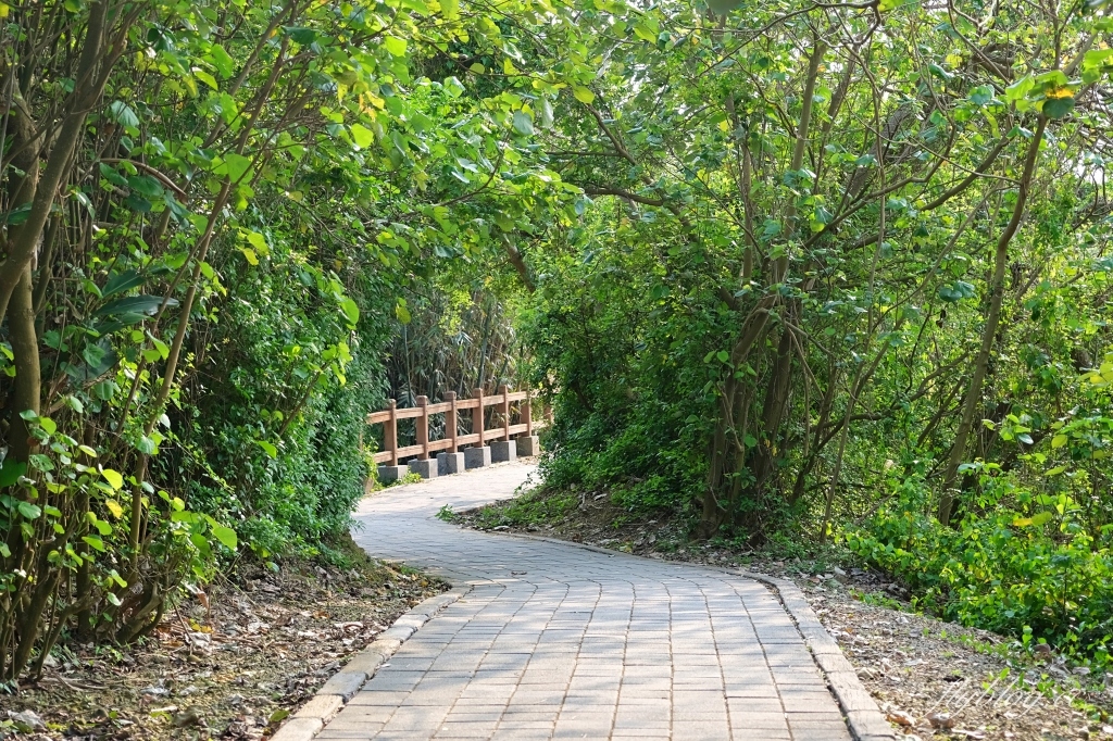 苗栗竹南｜崎頂隧道文化公園，從崎頂子母隧道漫步到崎頂車站，鐵道迷必拍的火車景點，一秒進入日本動畫電影場景 @飛天璇的口袋