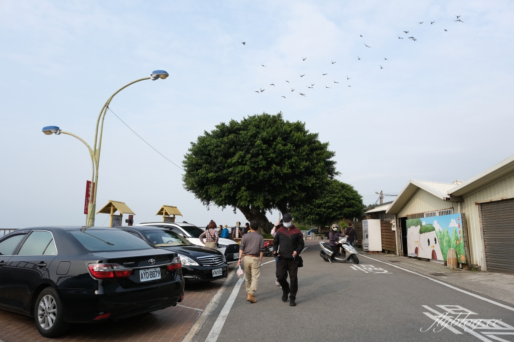苗栗竹南|崎頂隧道文化公園,從崎頂子母隧道漫步到崎頂車站,鐵道迷必拍的火車景點,一秒進入日本動畫電影場景 @飛天璇的口袋 苗栗竹南|崎頂隧道文化公園,從崎頂子母隧道漫步到崎頂車站,鐵道迷必拍的火車景點,一秒進入日本動畫電影場景 @飛天璇的口袋