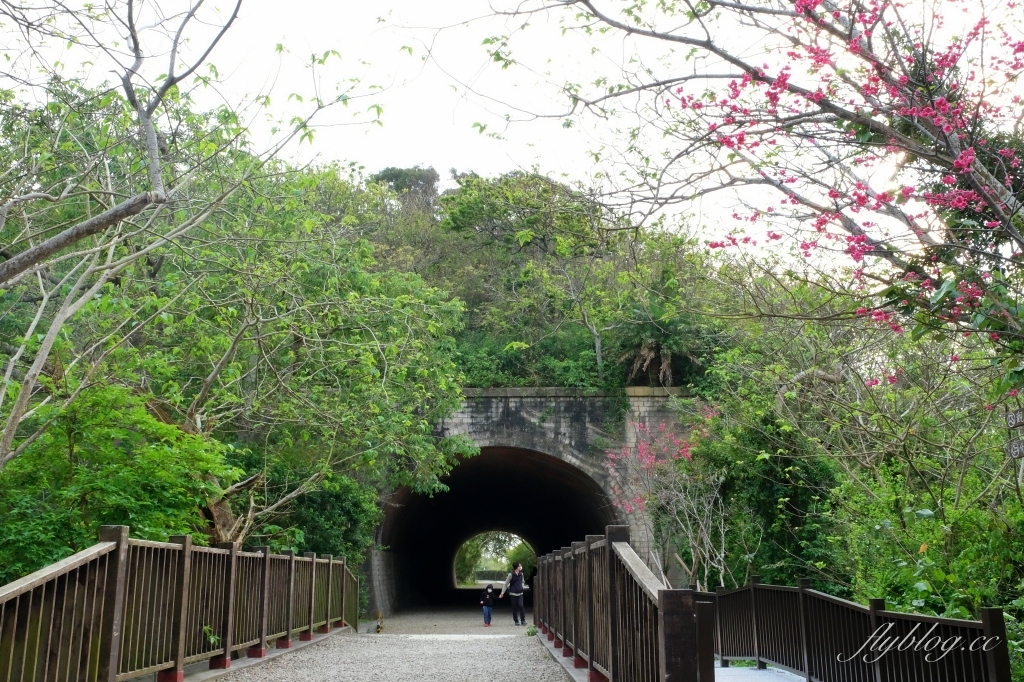 苗栗竹南|崎頂隧道文化公園,從崎頂子母隧道漫步到崎頂車站,鐵道迷必拍的火車景點,一秒進入日本動畫電影場景 @飛天璇的口袋 苗栗竹南|崎頂隧道文化公園,從崎頂子母隧道漫步到崎頂車站,鐵道迷必拍的火車景點,一秒進入日本動畫電影場景 @飛天璇的口袋