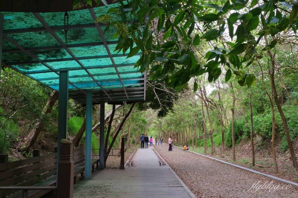 苗栗竹南|崎頂隧道文化公園,從崎頂子母隧道漫步到崎頂車站,鐵道迷必拍的火車景點,一秒進入日本動畫電影場景 @飛天璇的口袋 苗栗竹南|崎頂隧道文化公園,從崎頂子母隧道漫步到崎頂車站,鐵道迷必拍的火車景點,一秒進入日本動畫電影場景 @飛天璇的口袋