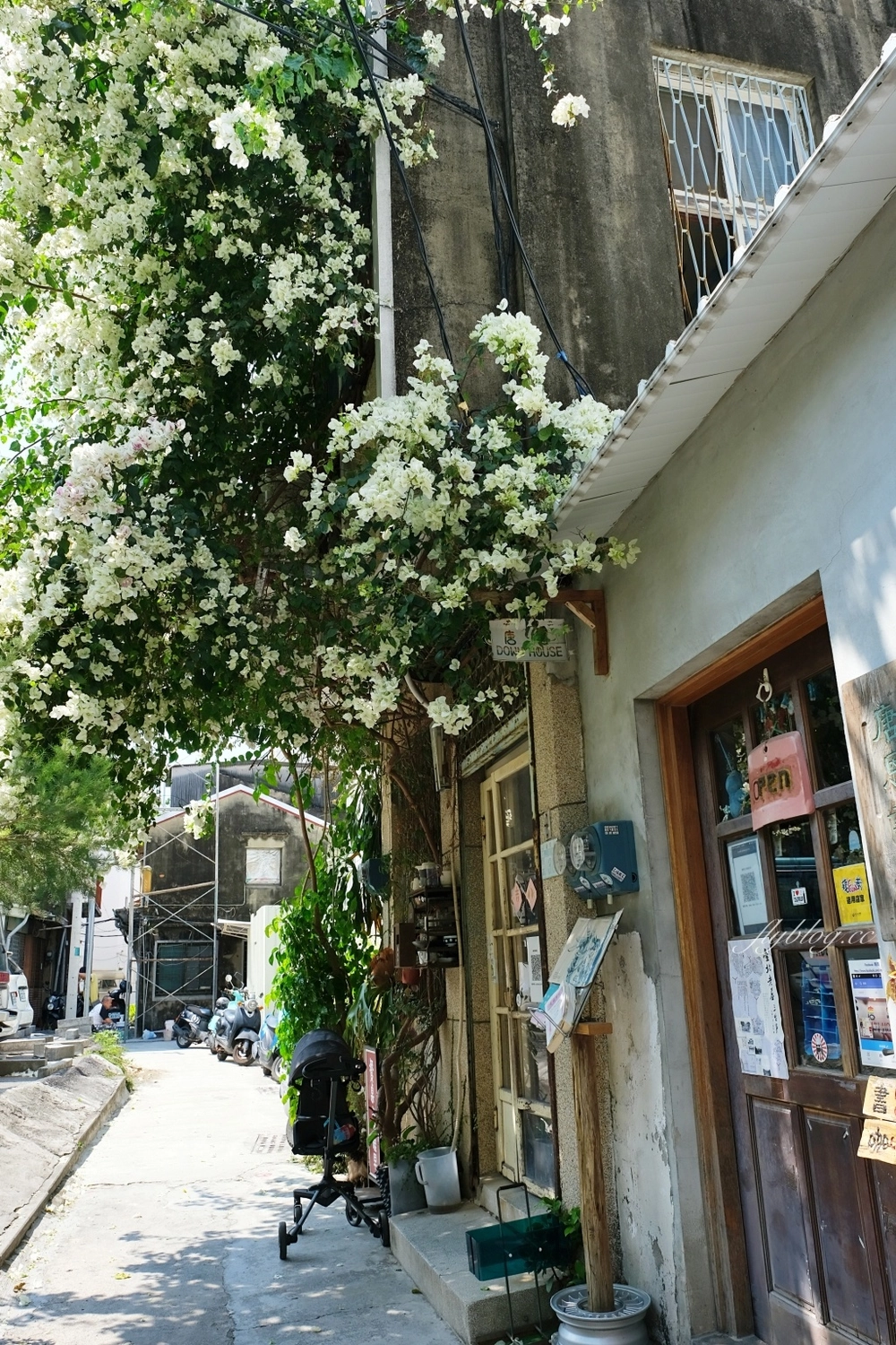 台南中區｜餐桌上的鹿早，台南超美餐具選物店，浪漫的九重葛老屋，IG上台南熱門打卡景點 @飛天璇的口袋