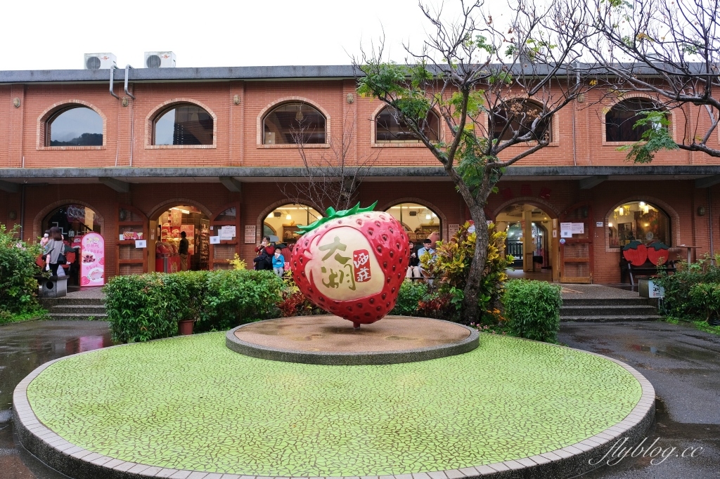 苗栗大湖|大湖酒莊.大湖草莓文化館,亞洲第一個草莓酒製酒產地 @飛天璇的口袋 苗栗大湖|大湖酒莊.大湖草莓文化館,亞洲第一個草莓酒製酒產地 @飛天璇的口袋