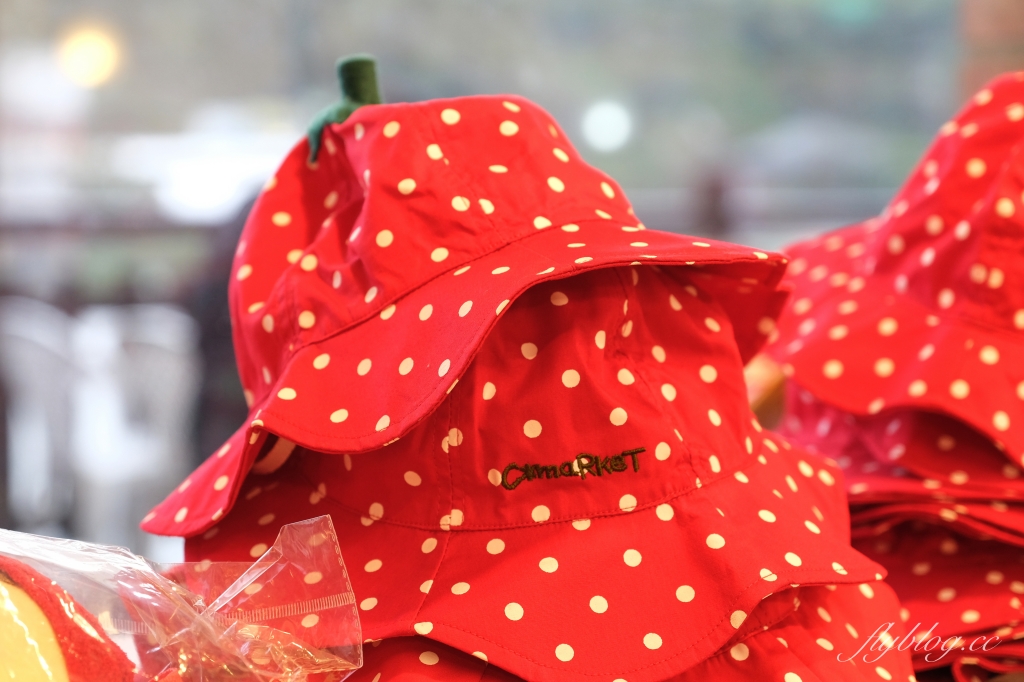 苗栗大湖|大湖酒莊.大湖草莓文化館,亞洲第一個草莓酒製酒產地 @飛天璇的口袋 苗栗大湖|大湖酒莊.大湖草莓文化館,亞洲第一個草莓酒製酒產地 @飛天璇的口袋