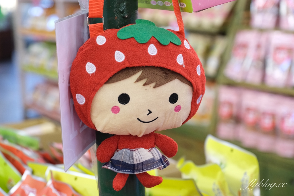 苗栗大湖|大湖酒莊.大湖草莓文化館,亞洲第一個草莓酒製酒產地 @飛天璇的口袋 苗栗大湖|大湖酒莊.大湖草莓文化館,亞洲第一個草莓酒製酒產地 @飛天璇的口袋