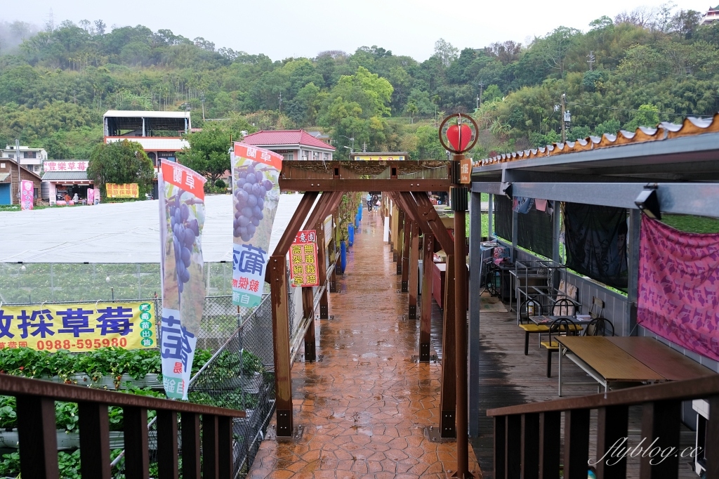 苗栗大湖|大湖酒莊.大湖草莓文化館,亞洲第一個草莓酒製酒產地 @飛天璇的口袋 苗栗大湖|大湖酒莊.大湖草莓文化館,亞洲第一個草莓酒製酒產地 @飛天璇的口袋
