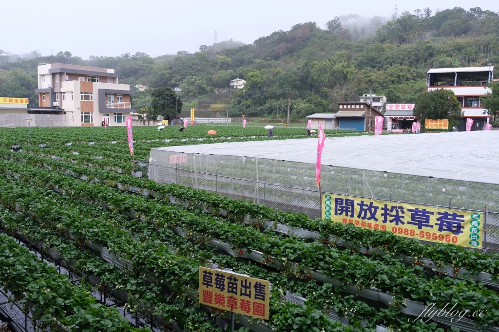 苗栗大湖|大湖酒莊.大湖草莓文化館,亞洲第一個草莓酒製酒產地 @飛天璇的口袋 苗栗大湖|大湖酒莊.大湖草莓文化館,亞洲第一個草莓酒製酒產地 @飛天璇的口袋