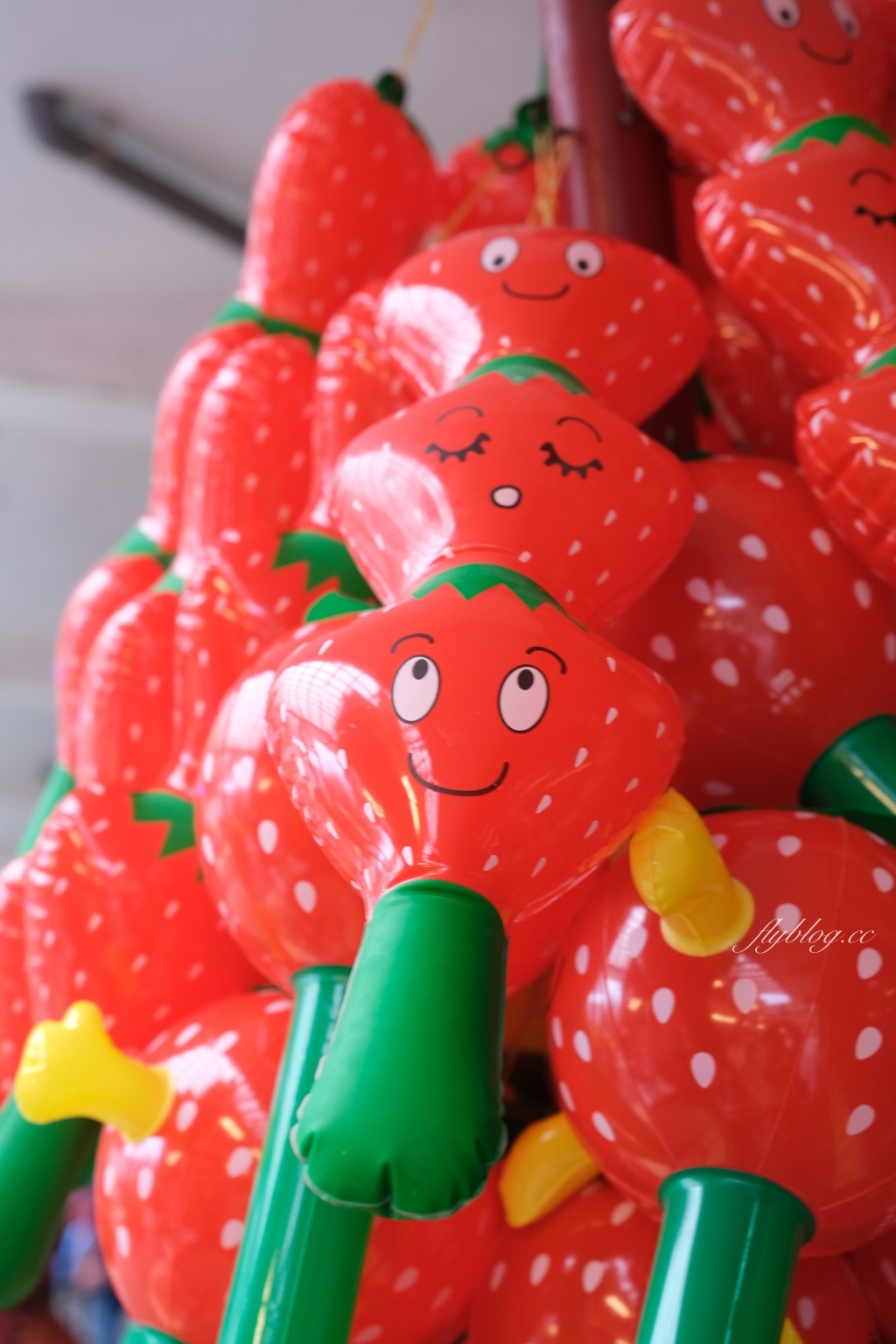 苗栗大湖｜大湖酒莊．大湖草莓文化館，亞洲第一個草莓酒製酒產地 @飛天璇的口袋