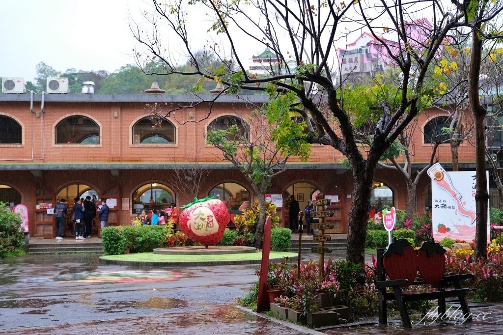 苗栗大湖|大湖酒莊.大湖草莓文化館,亞洲第一個草莓酒製酒產地 @飛天璇的口袋 苗栗大湖|大湖酒莊.大湖草莓文化館,亞洲第一個草莓酒製酒產地 @飛天璇的口袋