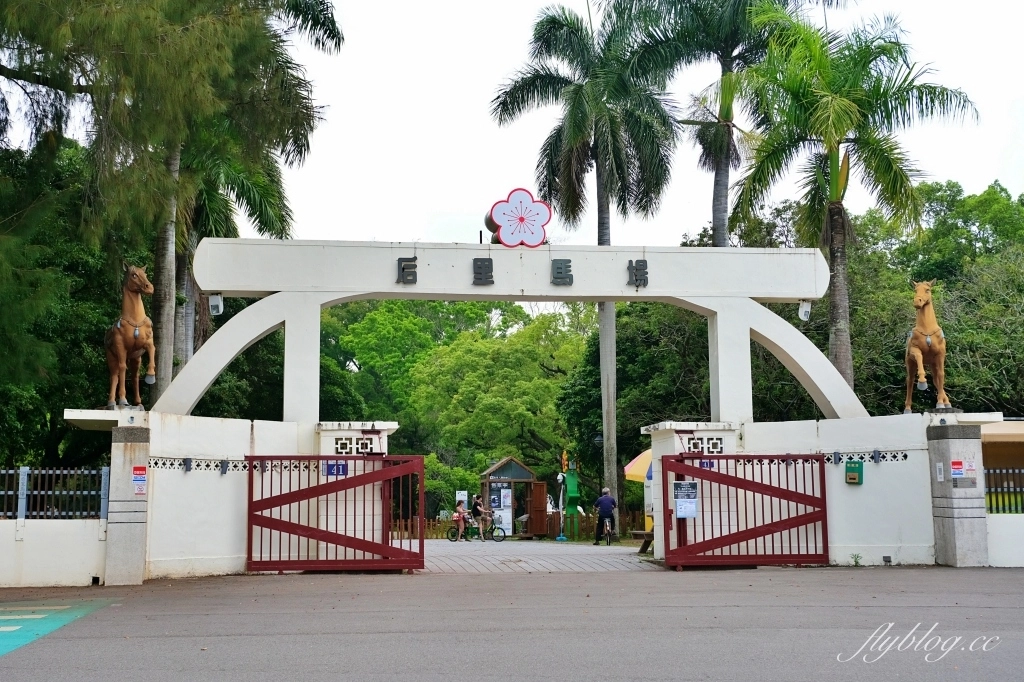 台中景點｜后豐鐵馬道到東豐綠色走廊，台中最美的自行車道，沿途租車地點和必拍景點 @飛天璇的口袋