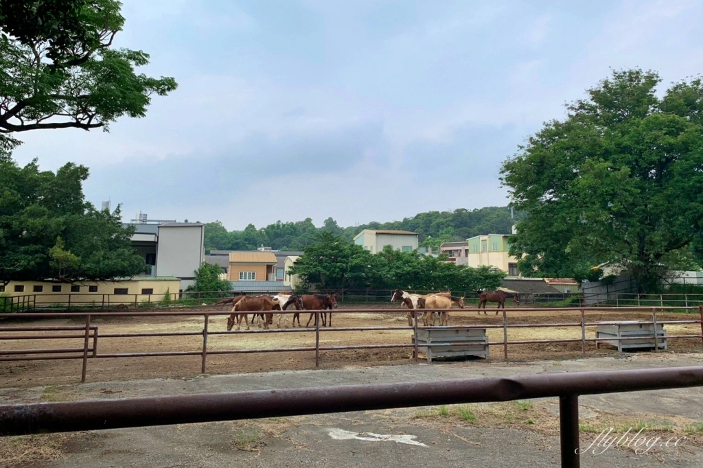 台中景點｜后豐鐵馬道到東豐綠色走廊，台中最美的自行車道，沿途租車地點和必拍景點 @飛天璇的口袋