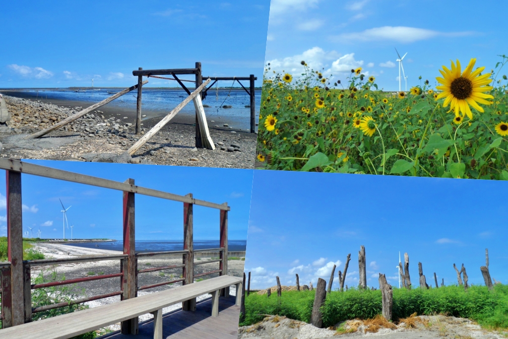 福寶溼地|彰化IG打卡景點,福寶溼地漂流木裝置藝術,美美向日葵花田觀賞夕陽 @飛天璇的口袋 福寶溼地|彰化IG打卡景點,福寶溼地漂流木裝置藝術,美美向日葵花田觀賞夕陽 @飛天璇的口袋