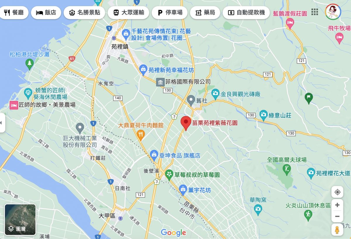 苗栗苑裡紫薇花園|仙氣爆棚的粉色紫薇花海,400棵花樹盛開中免費拍美照 @飛天璇的口袋 苗栗苑裡紫薇花園|仙氣爆棚的粉色紫薇花海,400棵花樹盛開中免費拍美照 @飛天璇的口袋