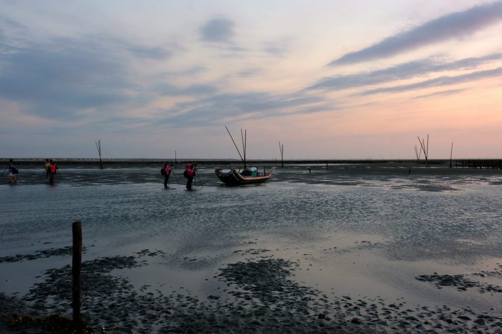 彰化芳苑｜芳苑濕地海空步道．紅樹林潮間帶濕地豐富生態，搭乘鐵牛車賞夕陽美景 @飛天璇的口袋