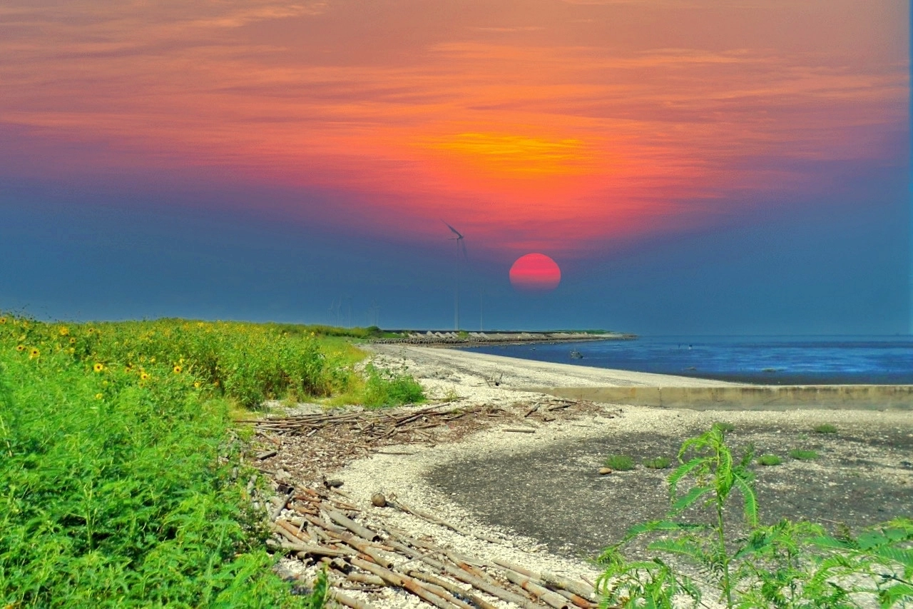 福寶溼地｜彰化IG打卡景點，福寶溼地漂流木裝置藝術，美美向日葵花田觀賞夕陽 @飛天璇的口袋