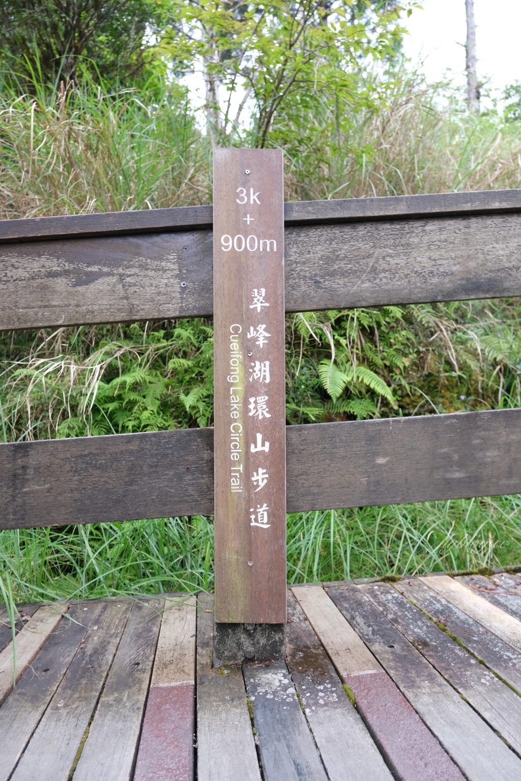 宜蘭大同｜太平山翠峰湖，全球第一條最寂靜的森林山徑，台灣最大的高山湖泊翠峰湖 @飛天璇的口袋